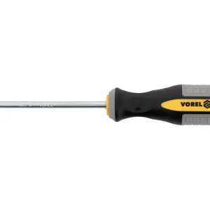 WKRĘTAK TORXT20X100 MM CRV Do wyczerpania zapasów