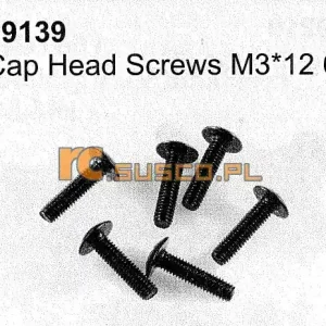 Oferta limitowana Cap head screw M3*12 6P