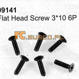 Niska cena Flat head screw 3*10 6P