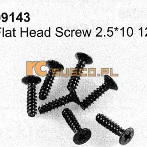 Najlepsza cena Cap head screw 2,5*10 12P